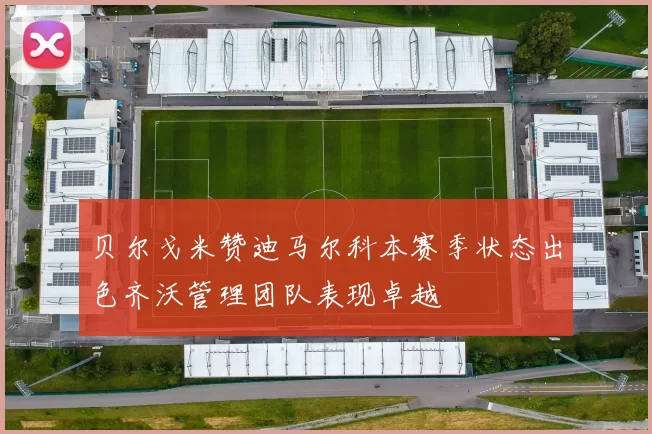 贝尔戈米赞迪马尔科本赛季状态出色齐沃管理团队表现卓越